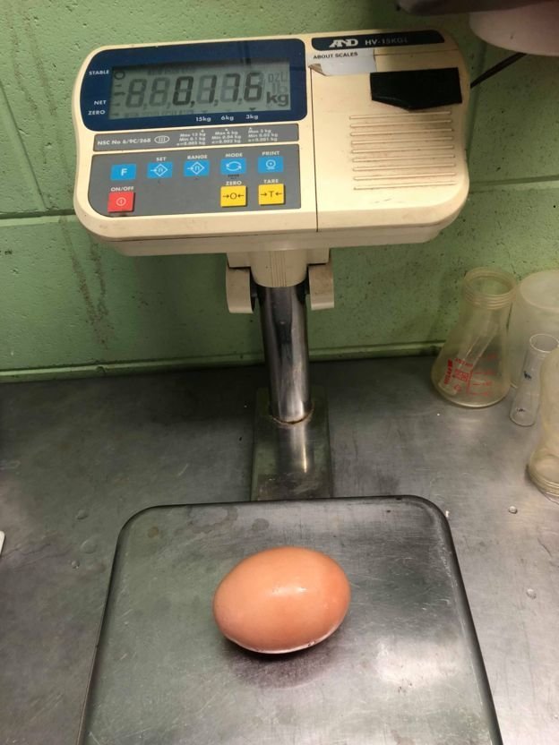 Яйцо-матрешка: в Австралии обнаружили огромное куриное яйцо с сюрпризом внутри