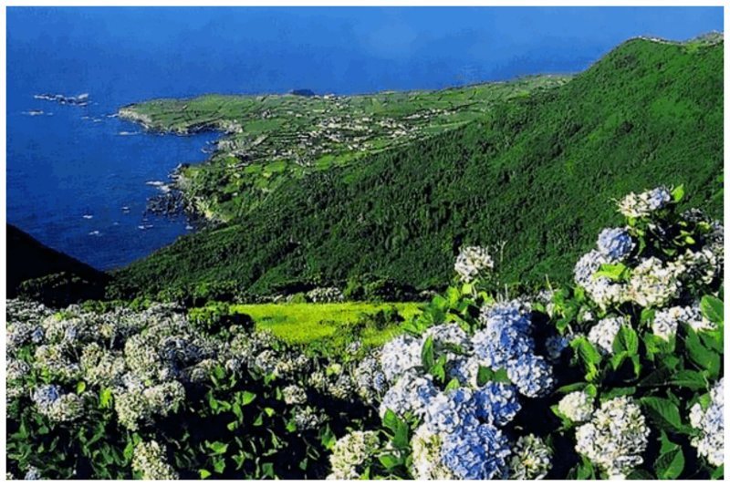 Ботанический заповедник на островах Сан-Мигель и Флорес, расположенных на субтропическом архипелаге – Азорские острова