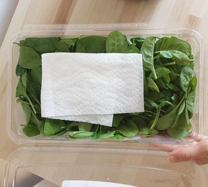 1. Туалетная бумага, положенная с салатом, впитает влагу и салат подольше останется хрустящим