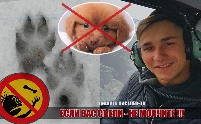 Несмотря ни на что юноша к бродячим собакам "относился с любовью, считал их добрыми и постоянно подкармливал". 