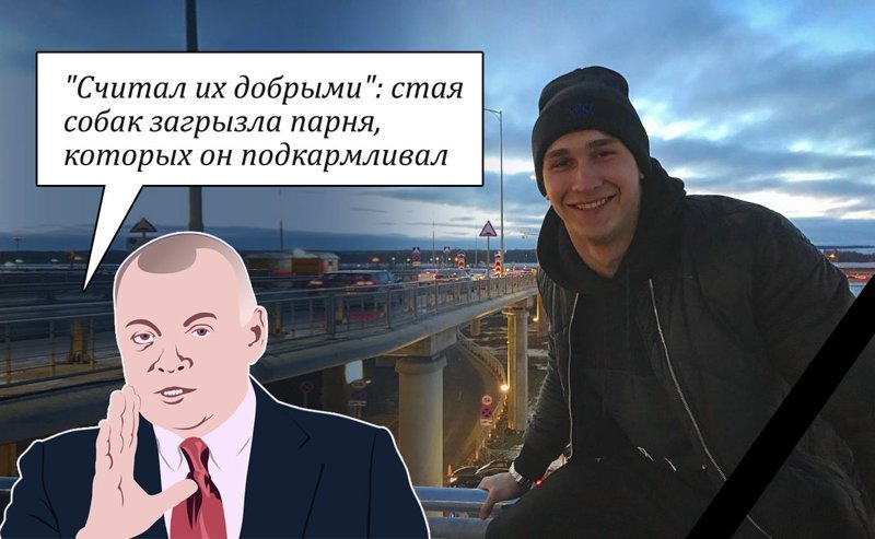 В Подмосковье стая собак загрызла парня, которых он подкармливал. 
