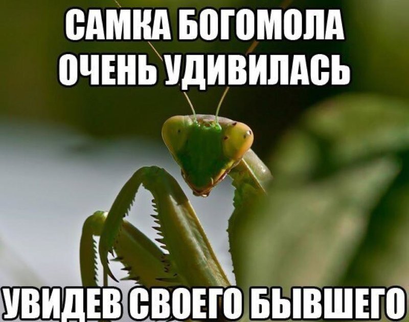 ldtlf0fsnqav5obq0afkegjjp627izgn.jpg