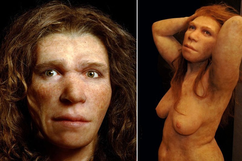 Неандертальцы без неприязни или соперники кроманьонцев с человеческим лицом