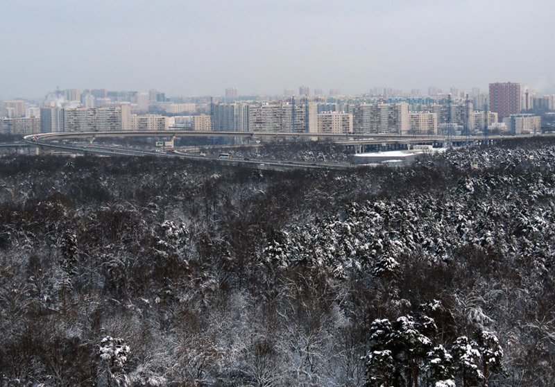 Химки. Часть 1: самое ближнее Подмосковье