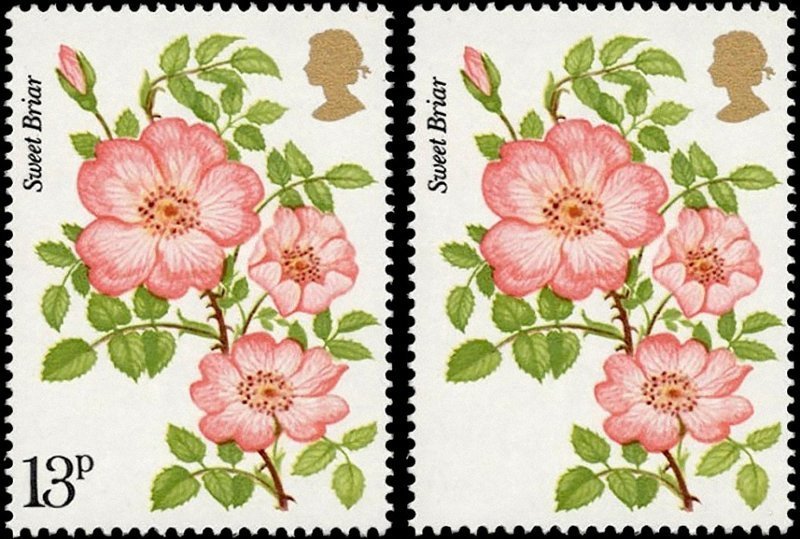 Великобритания,  "Королевское общество любителей роз". Непропечатанный номинал на марке поднял цену до 247000 долларов