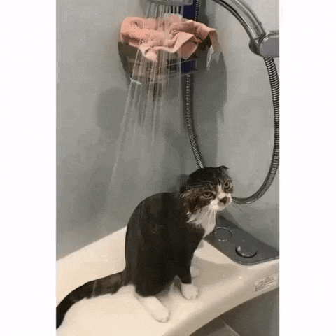 А в это время в голове зреет план мести