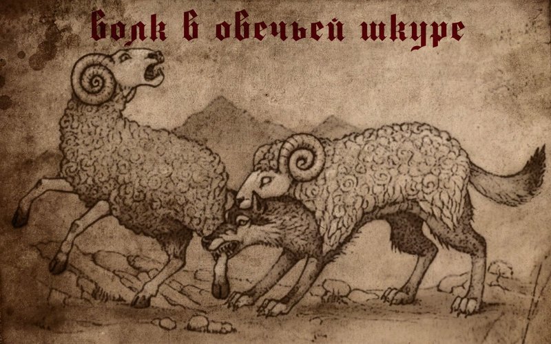 7 отличительных признаков волка в овечьей шкуре