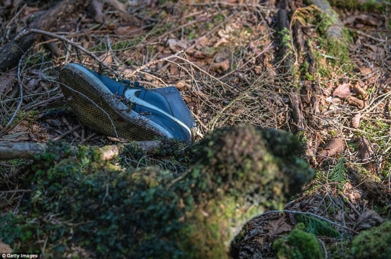 В лесу можно найти вещи: обувь, одежду, остатки палаточных лагерей - многие из них принадлежали самоубийцам.