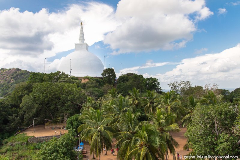 Колыбель буддизма на Шри-Ланке