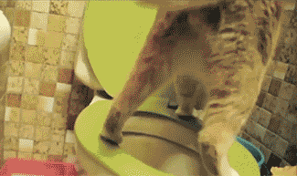 Сходил, убери за собой