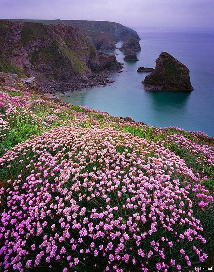 Located on the coast of the. Графство Корнуолл. Порткеррис Корнуолл. Корнуэлл Англия. Пляж Bedruthan steps, Корнуолл Англия.
