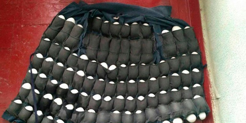 Украинец изобрел уникальную куртку, чтобы ежедневно красть с птицефабрики по 110 яиц