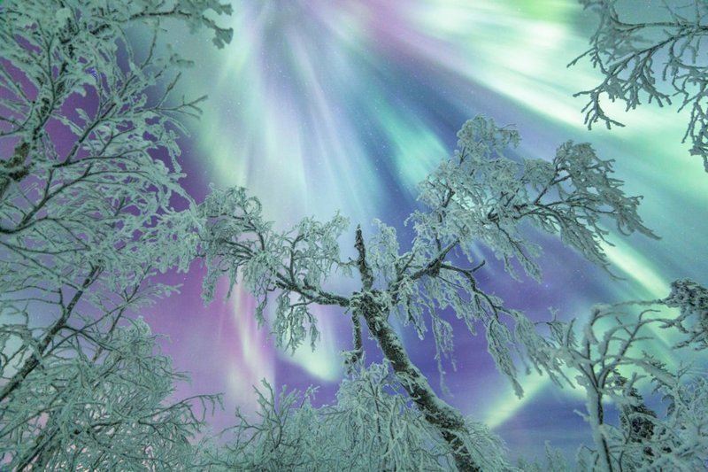 Потрясающие снимки северного сияния и звёздного неба над холодной Финляндией