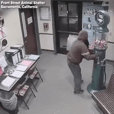 Что-то явно пошло не так