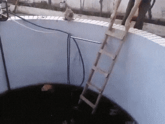 Катись обратно