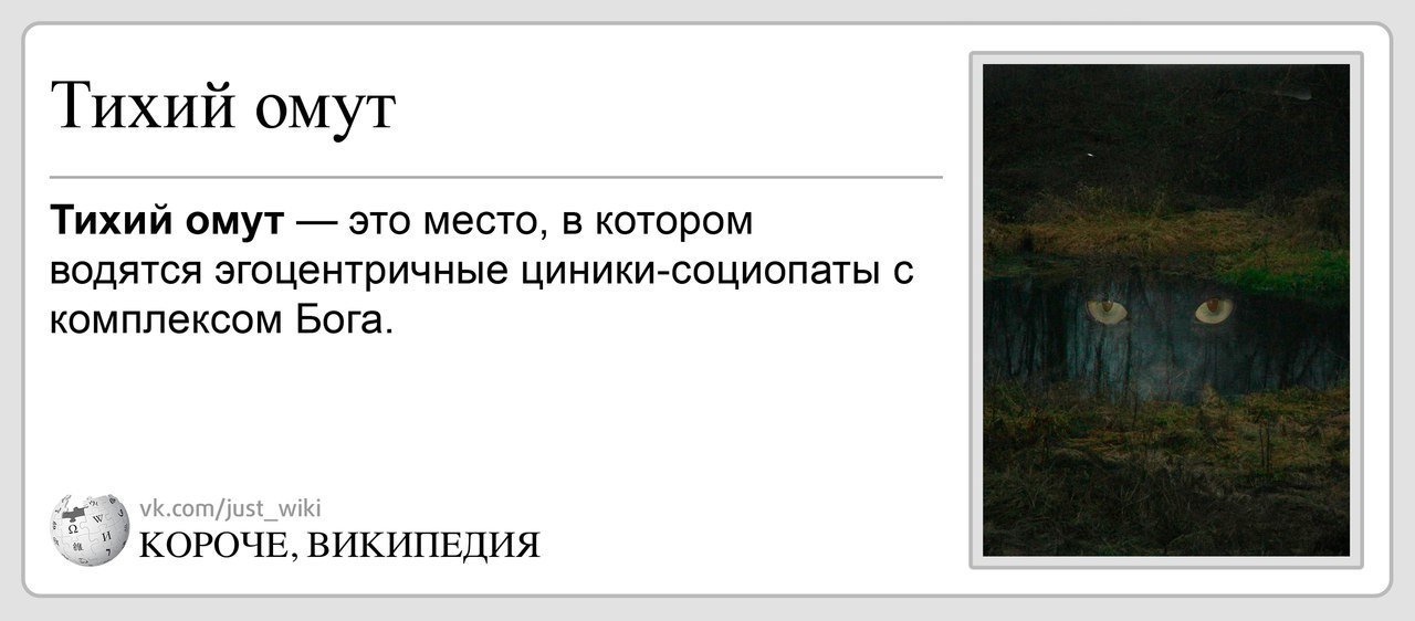 Цветень омут тихий. В тихом омуте. В тихом омуте фраза. Короче Википедия. В тихом омуте юмор.