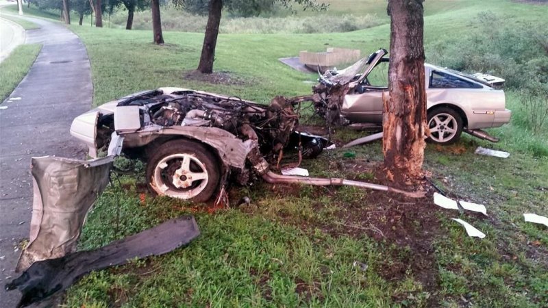 Бодался телёнок с дубом: аварии автомобилей с участием деревьев