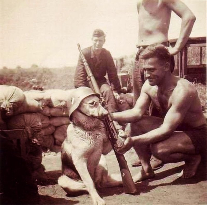 34. Немецкие солдаты и их пес, 1940 г.