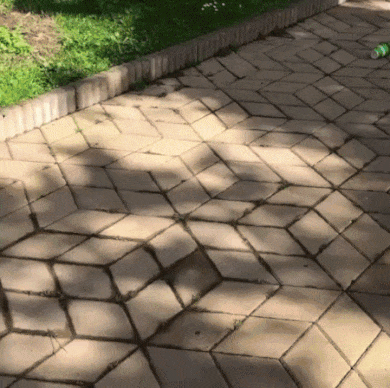 Пример хорошего воспитания