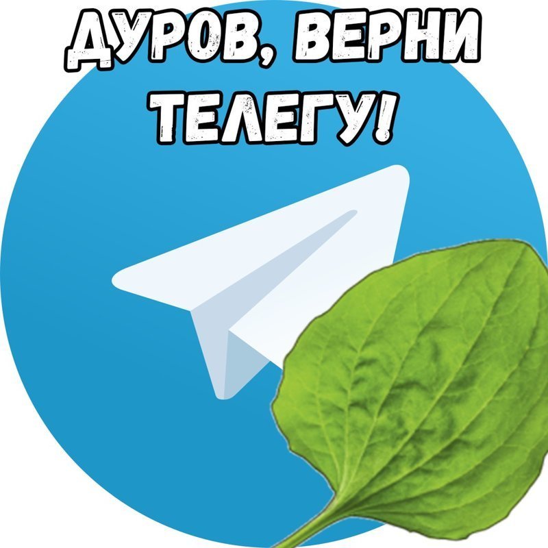 Роскомнадзор открестился: реакция соцсетей на "смерть" Telegram