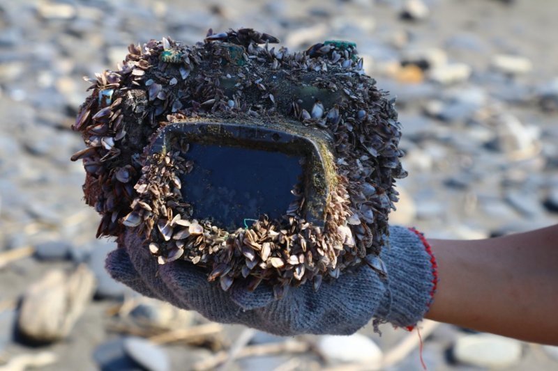 Невероятная история потерянной в море фотокамеры