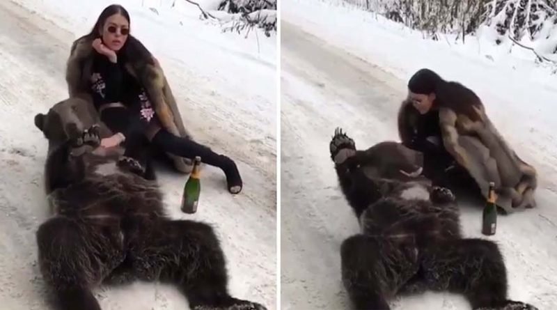 Девушка с шампанским и медведем вызвала негодование пользователей
