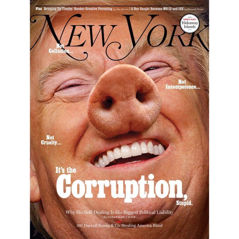 Американский журнал поместил на обложку Трампа в образе свиньи