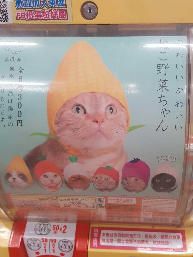 Автомат с шапочками для котиков в Японии