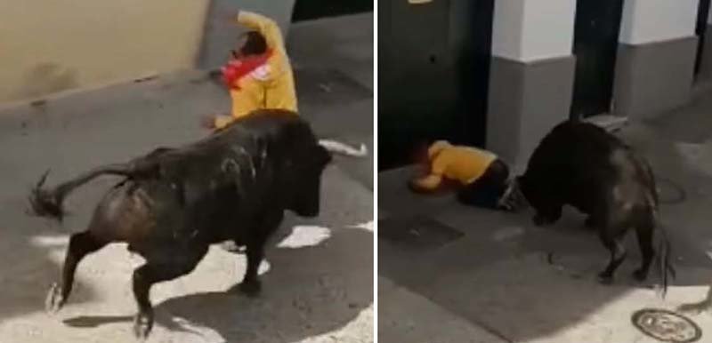 Разъяренный бык забодал участника ежегодного бега с быками в Испании