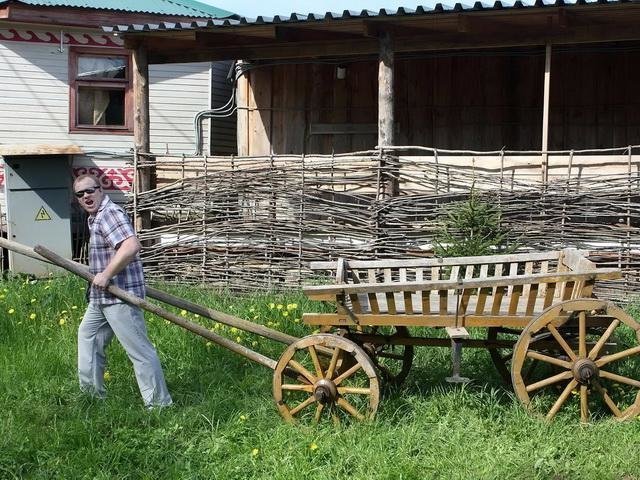 Прикольные картинки
