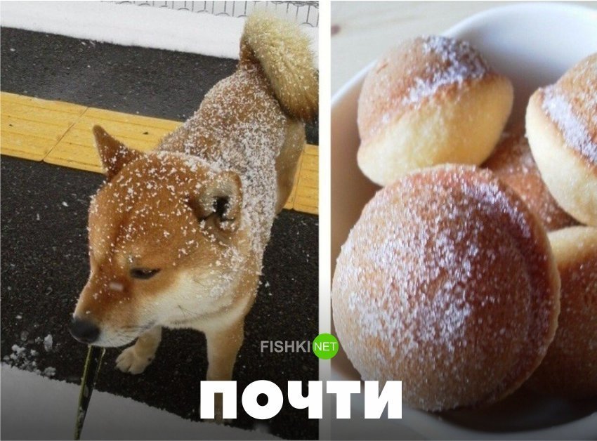 Картинки с надписями для настроения от TainT за 04 апреля 2018