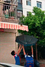 Помогли котейке