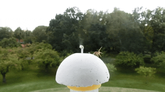 В ожидании попутного ветерка