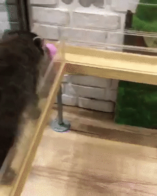 Любовь во всех ее проявлениях