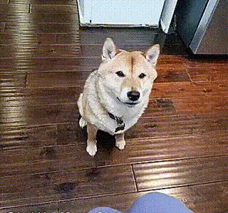 С меня хватит