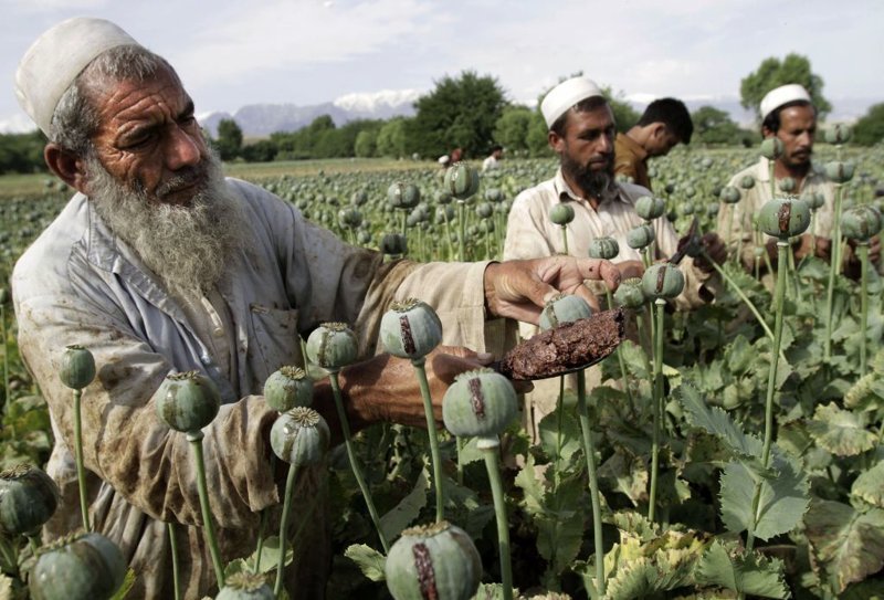 Афганский наркотрафик без границ
