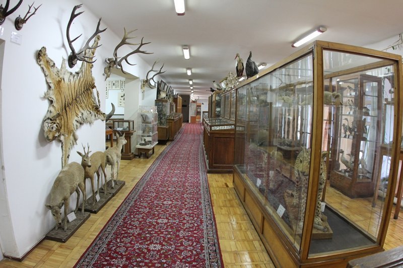 Местный музей