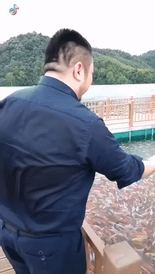 Сколько он их до этого не кормил?