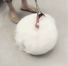 Удивительное рядом