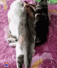 А говорят, что третий лишний