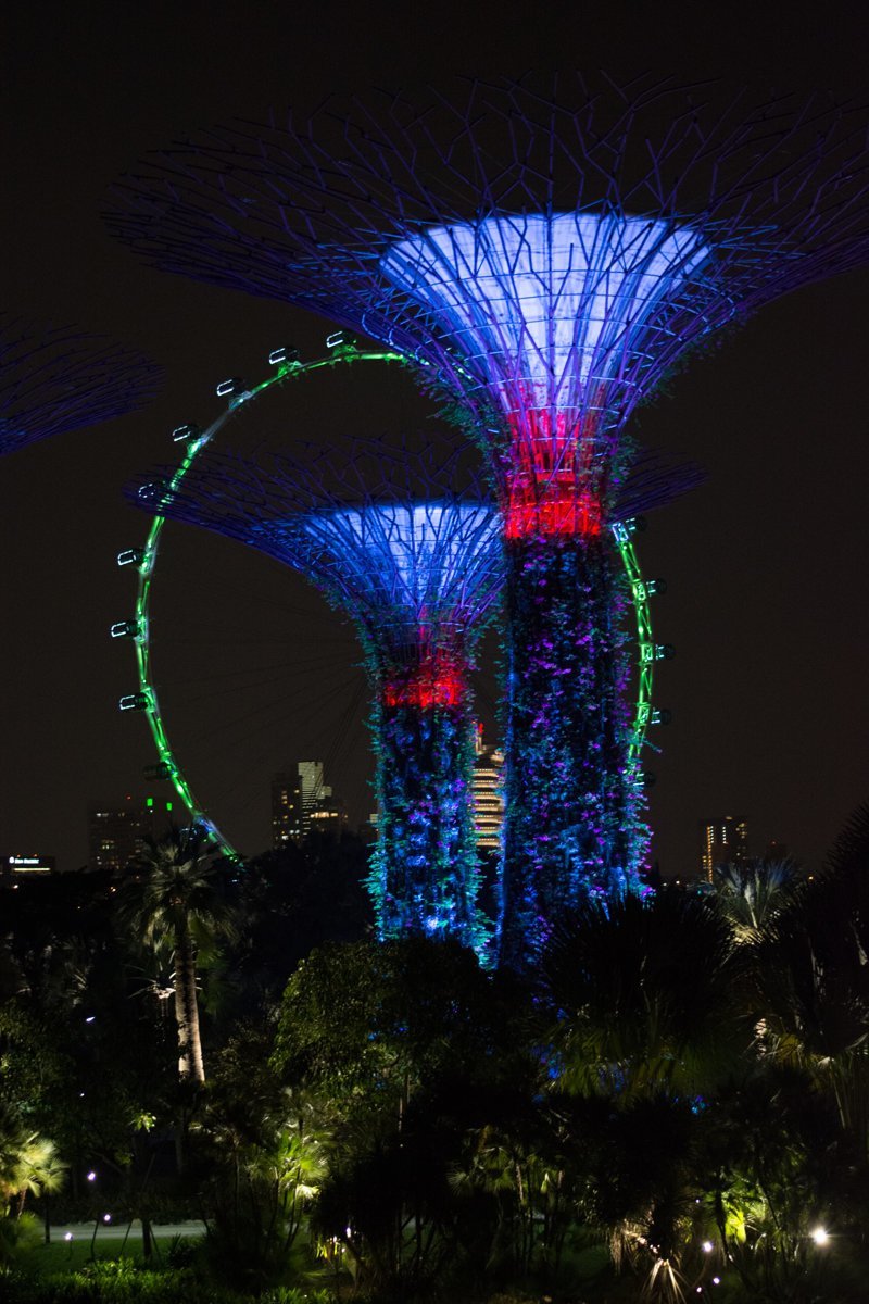 Сингапур - рай в юго-восточной азии