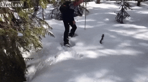 Неожиданный поворот