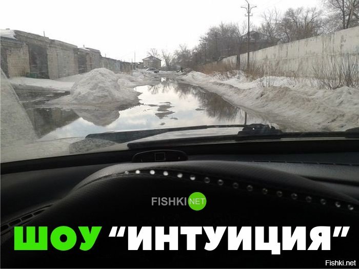 Шоу Интуиция Мем