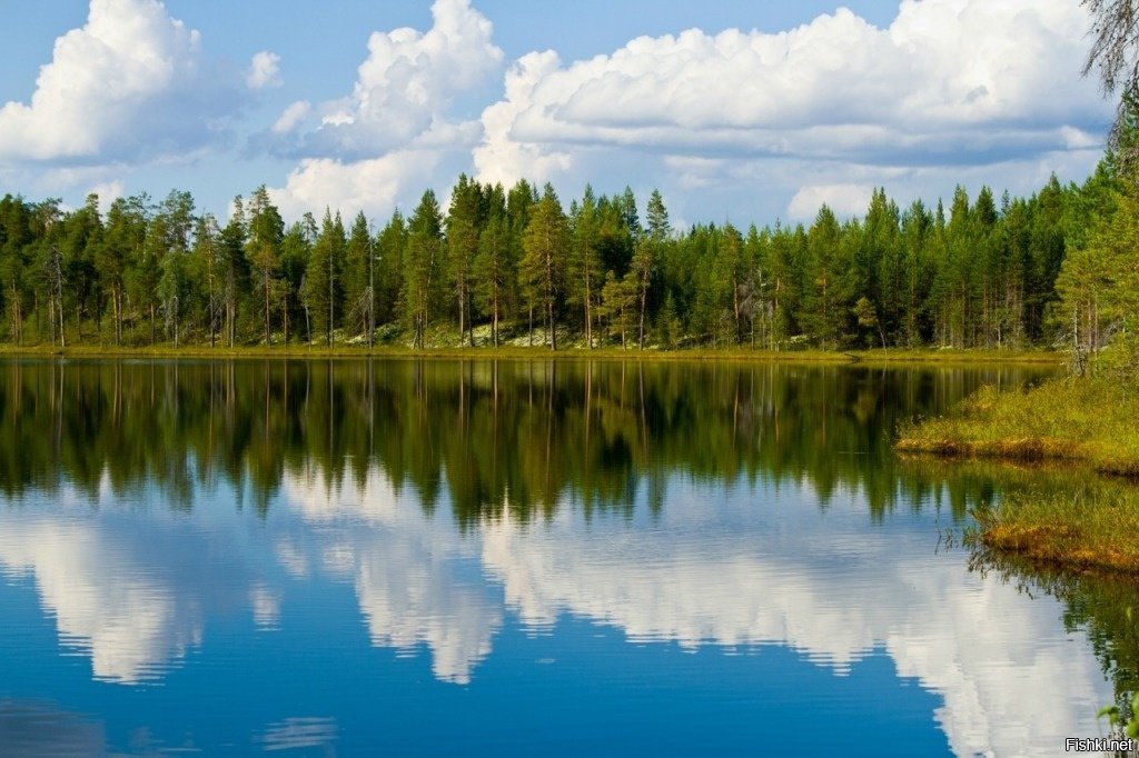 Как называется озеро в россии. Голубое озеро Карелия. Природа России Карелия. Голубые озера Петрозаводск. Река озеро Ухта Карелия.