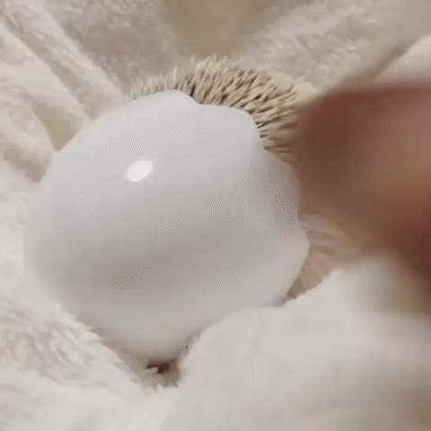 Гифки дня Гифки дня