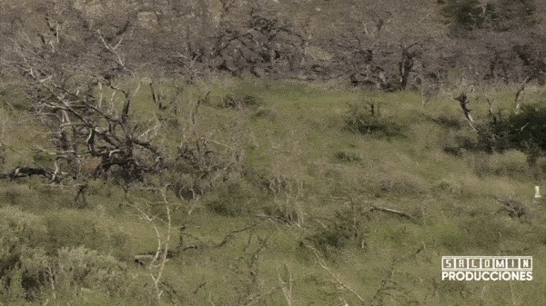 Гифки дня Гифки дня