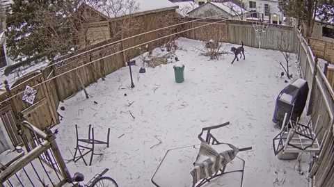 Гифки дня Гифки дня