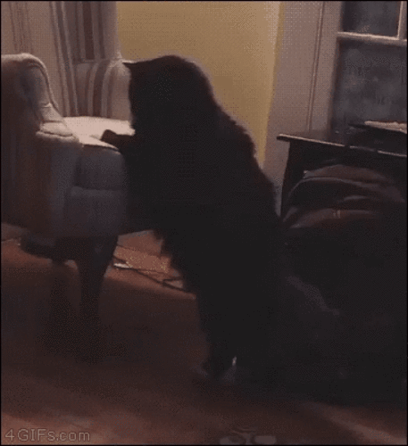 Подхудеть не мешало бы