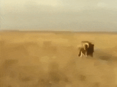 Гифки Гифки