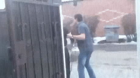 Гифки Гифки